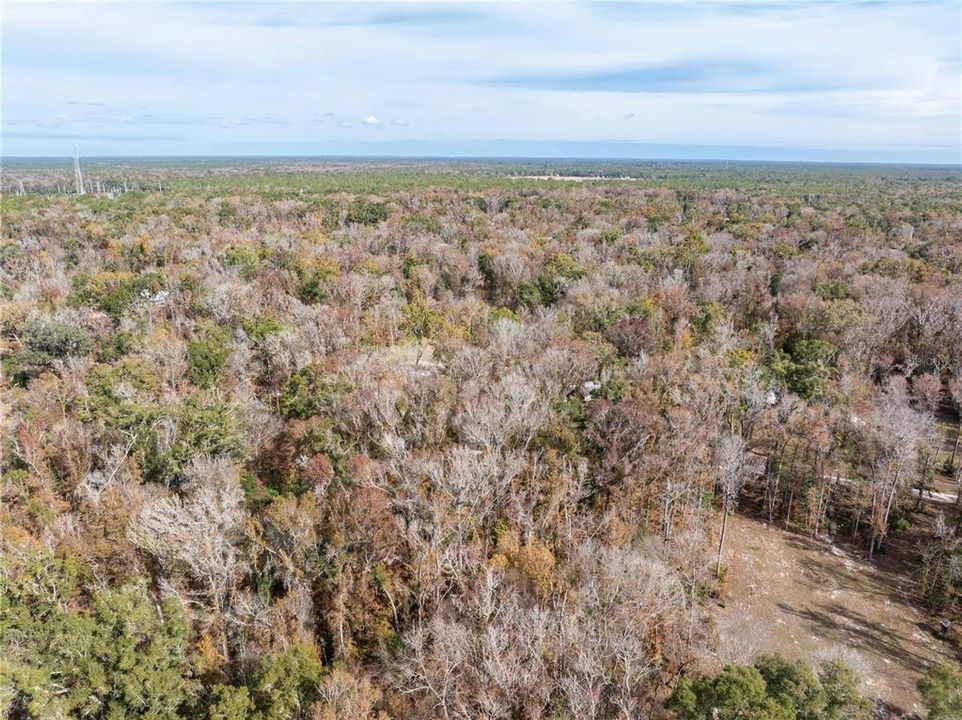 En Venta: $70,000 (1.84 acres)