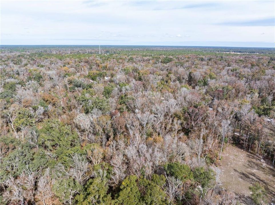 En Venta: $70,000 (1.84 acres)