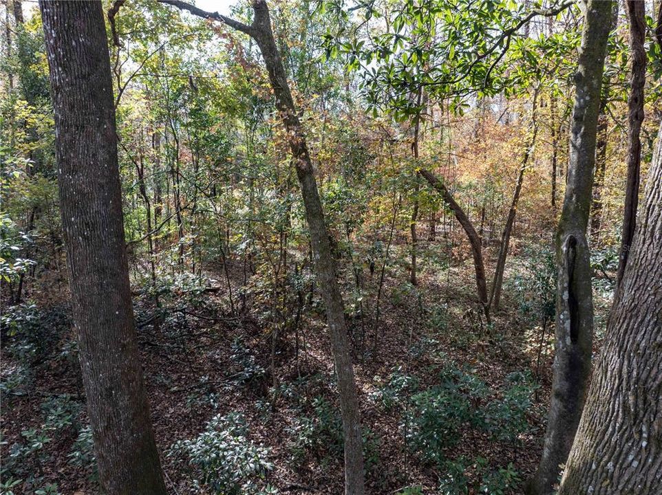 En Venta: $70,000 (1.84 acres)