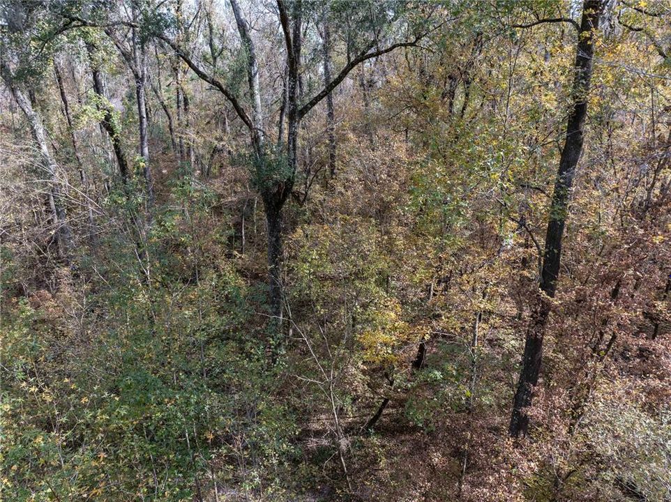 En Venta: $70,000 (1.84 acres)