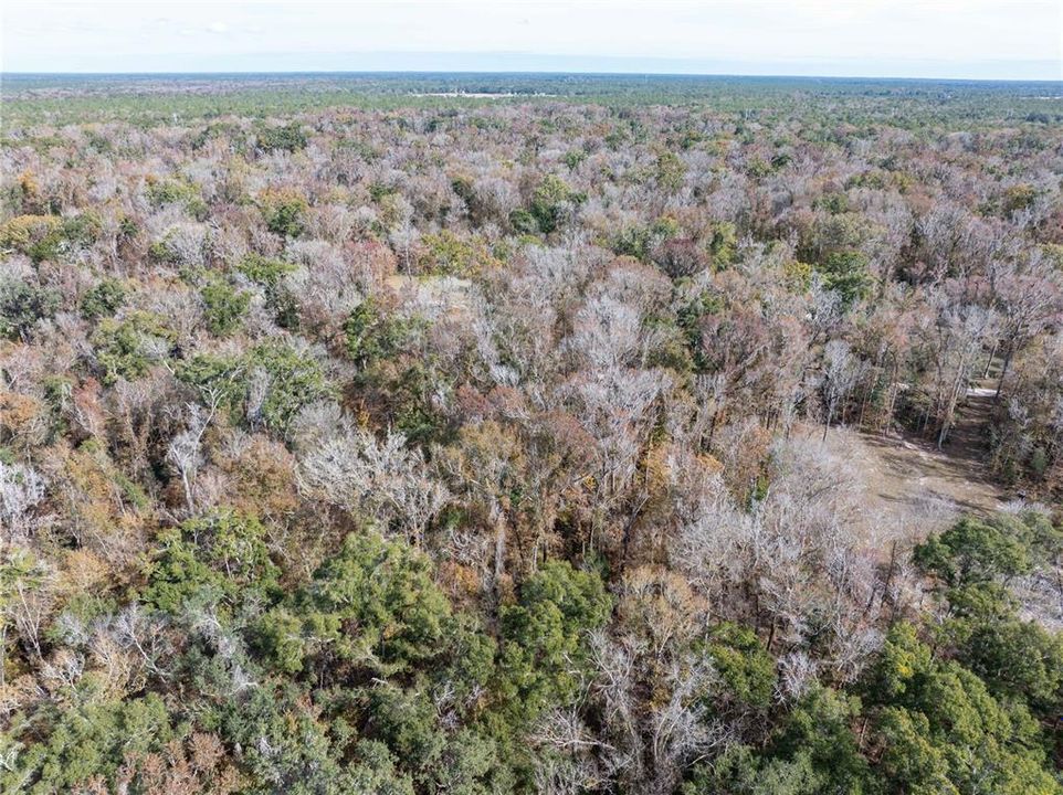 En Venta: $70,000 (1.84 acres)