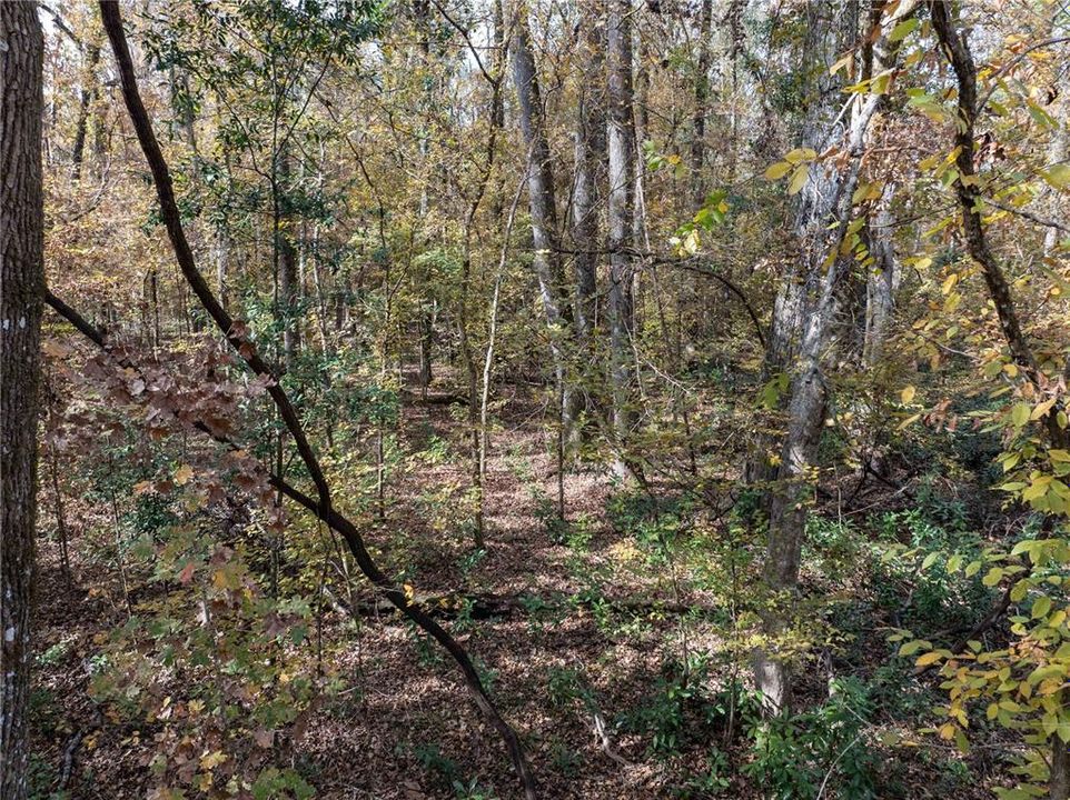 En Venta: $70,000 (1.84 acres)