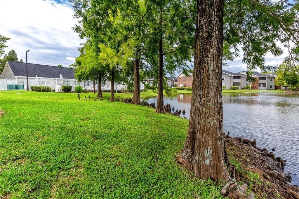 For Rent: $1,400 (1 beds, 1 baths, 615 Square Feet)