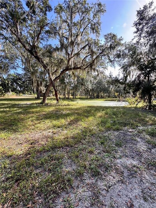 For Sale: $260,000 (3.46 acres)