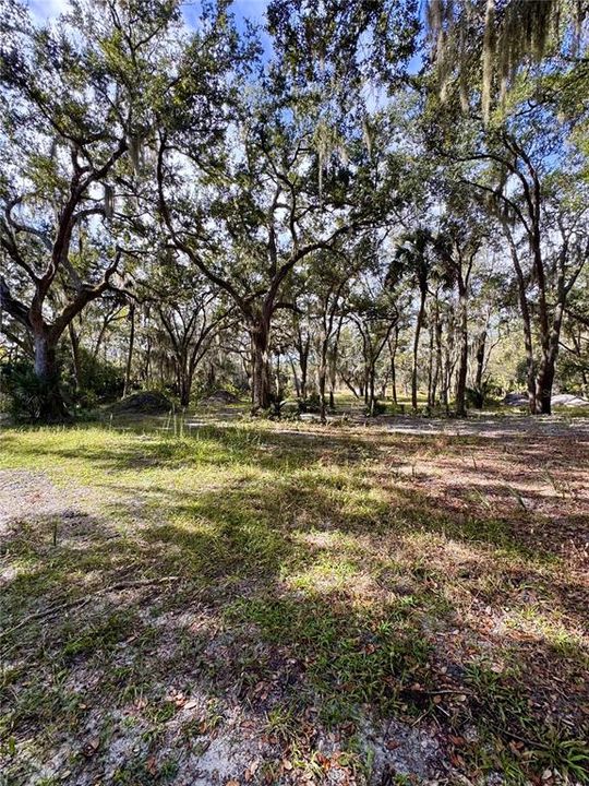 For Sale: $260,000 (3.46 acres)