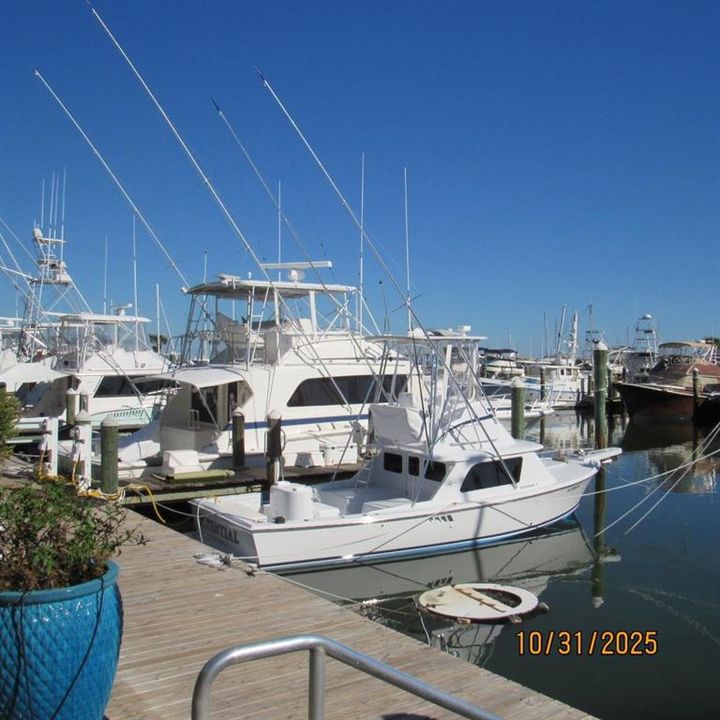 出租: $1,625 (2 贝兹, 1 浴室, 1014 平方英尺)