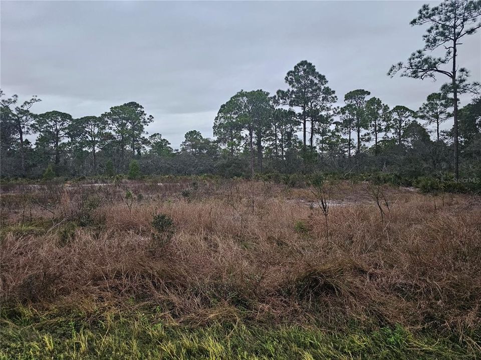 For Sale: $48,000 (0.78 acres)