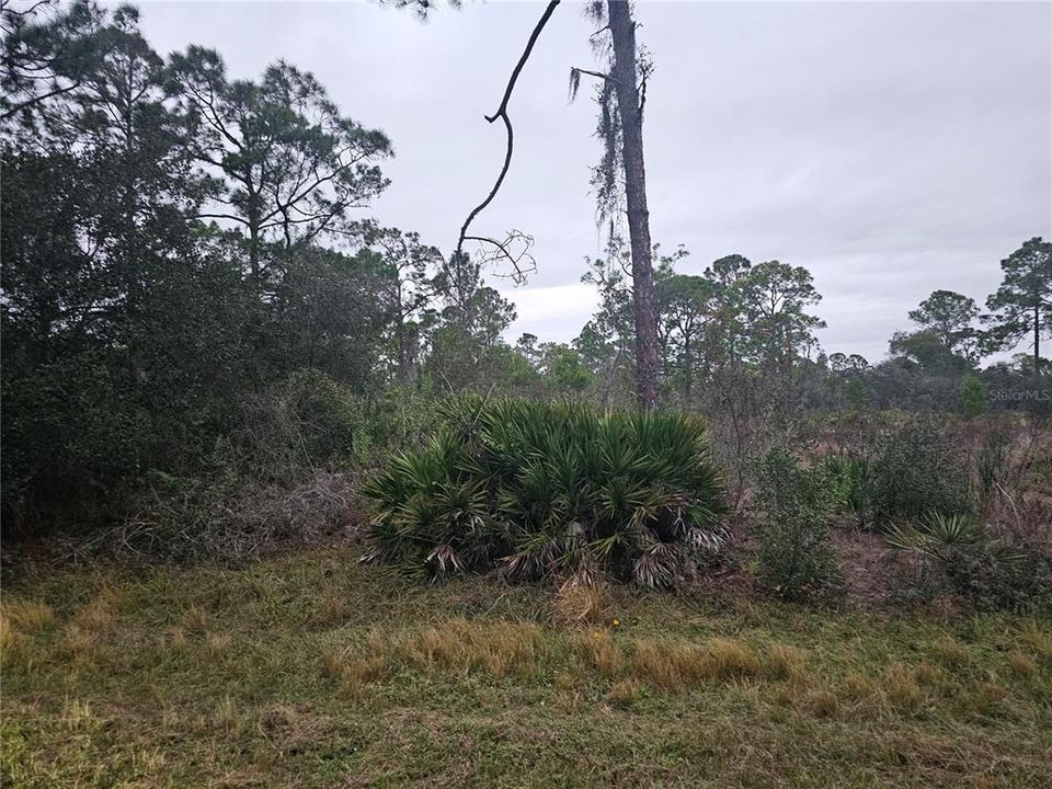 For Sale: $48,000 (0.78 acres)