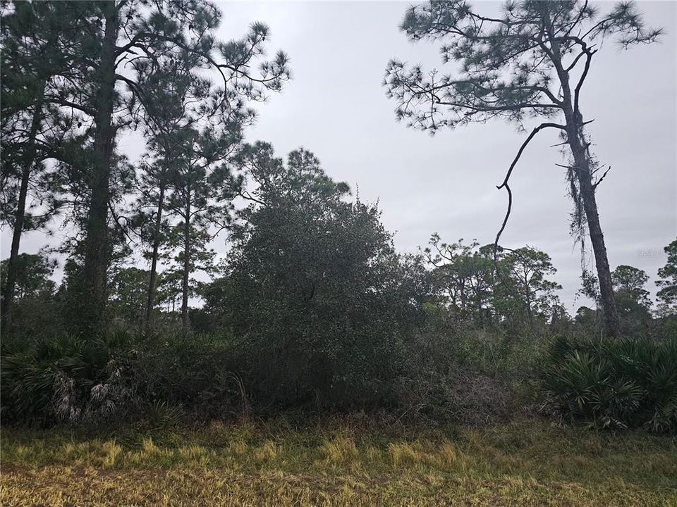 For Sale: $48,000 (0.78 acres)