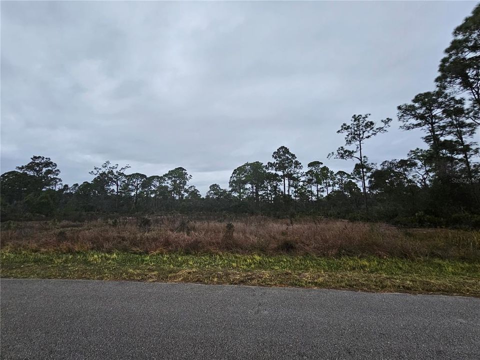 For Sale: $48,000 (0.78 acres)