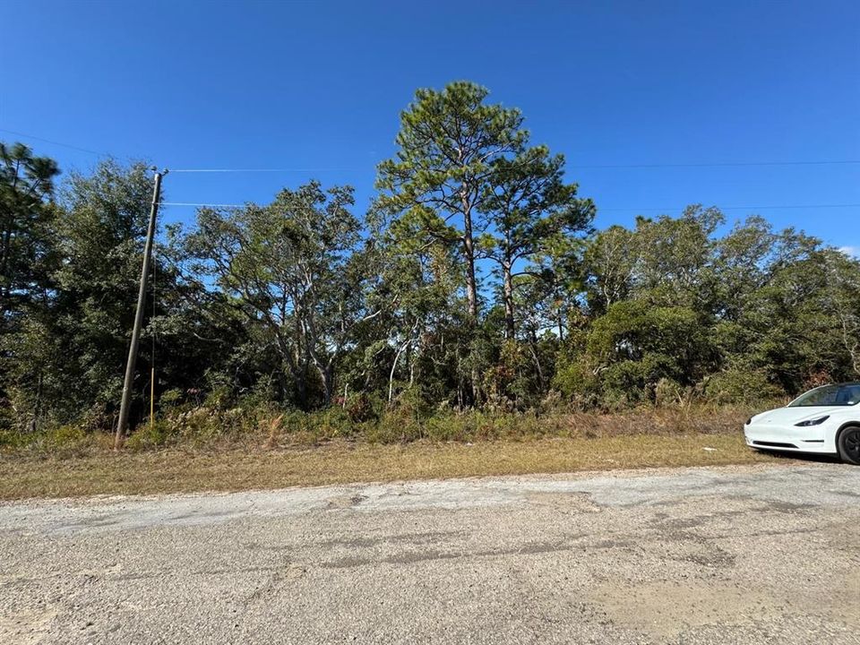 For Sale: $24,900 (0.24 acres)