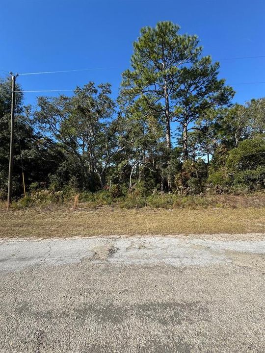 For Sale: $24,900 (0.24 acres)