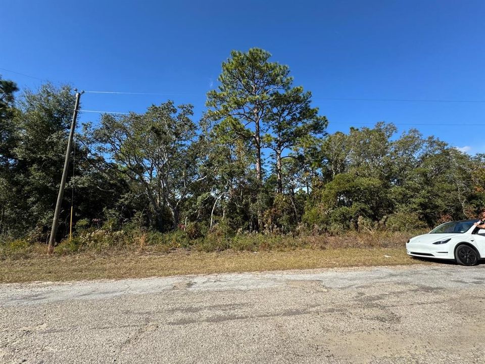 For Sale: $24,900 (0.24 acres)