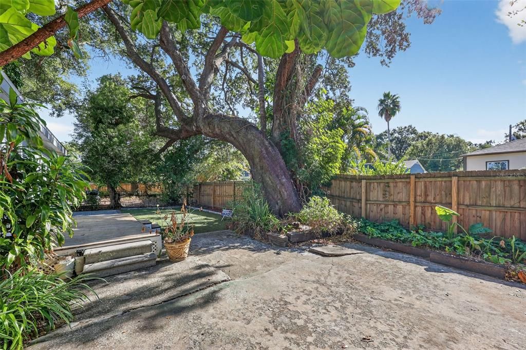 For Sale: $485,000 (3 beds, 2 baths, 1462 Square Feet)