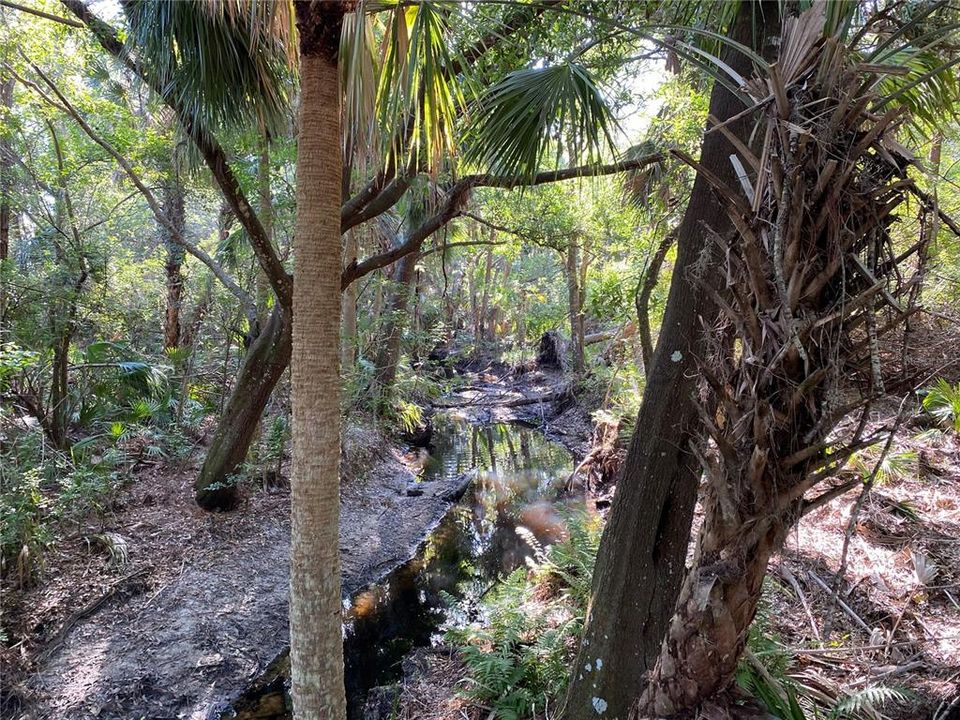 出租: $3,200 (3 贝兹, 2 浴室, 1742 平方英尺)