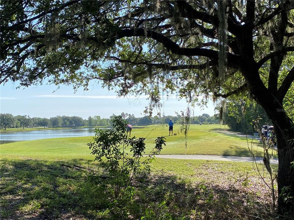 出租: $3,200 (3 贝兹, 2 浴室, 1742 平方英尺)