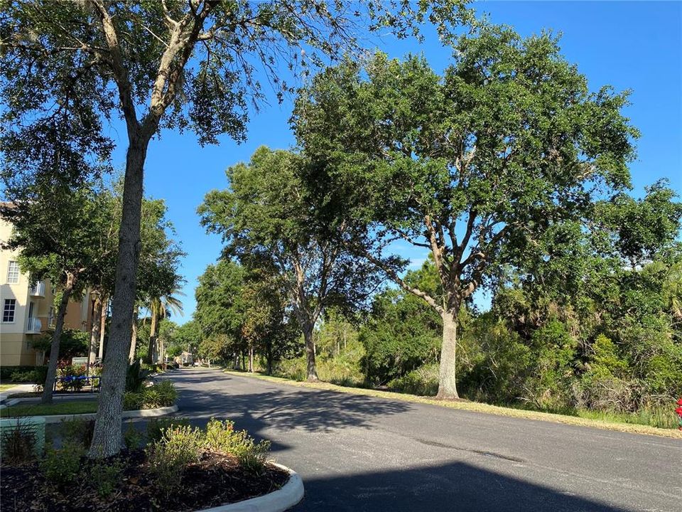 出租: $3,200 (3 贝兹, 2 浴室, 1742 平方英尺)