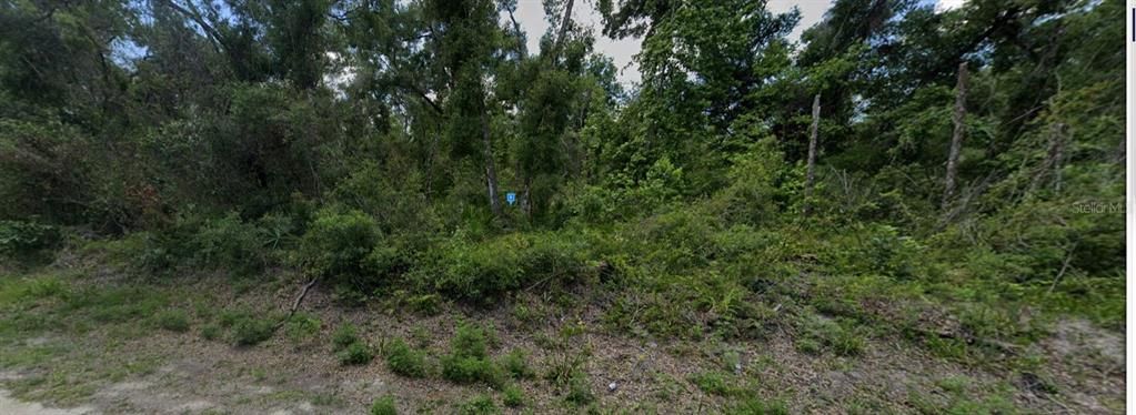 For Sale: $64,999 (2.31 acres)