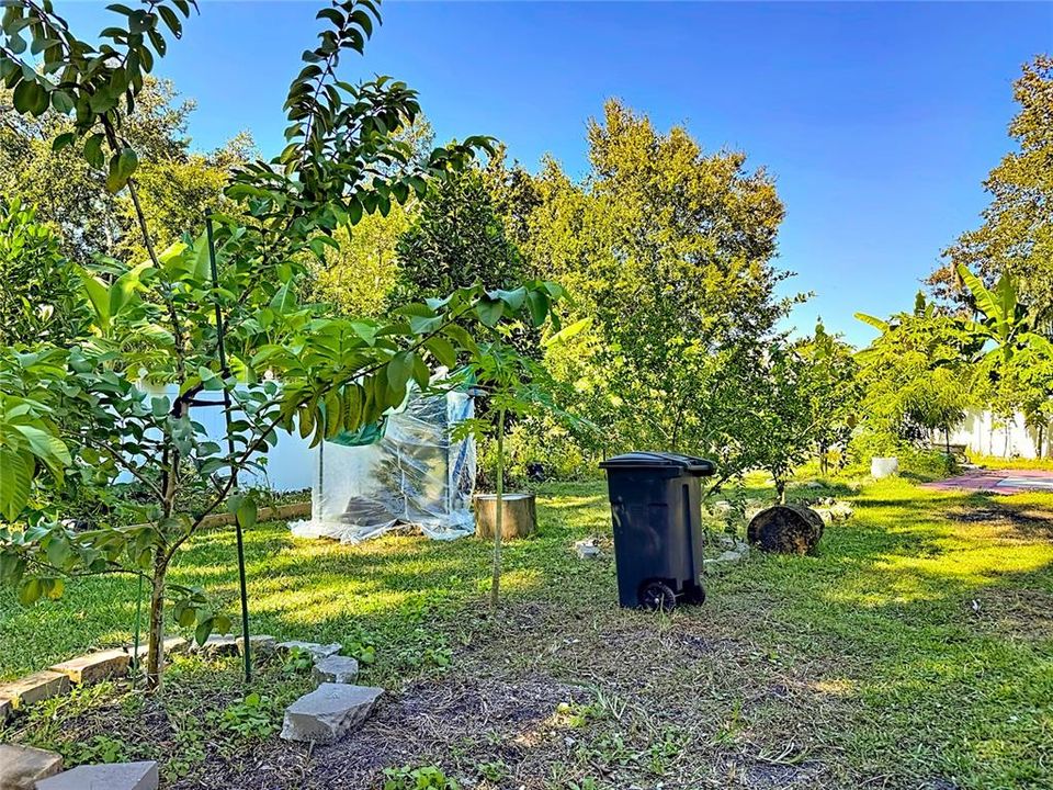 В аренду: $3,000 (4 спален, 3 ванн, 2396 Квадратных фут)