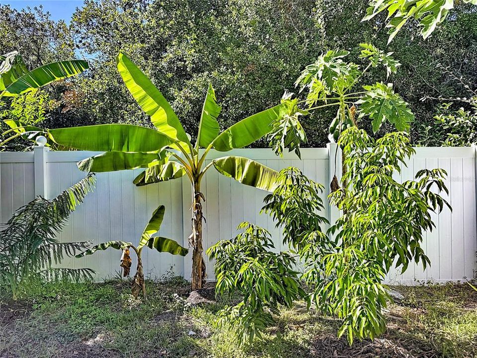 В аренду: $3,000 (4 спален, 3 ванн, 2396 Квадратных фут)