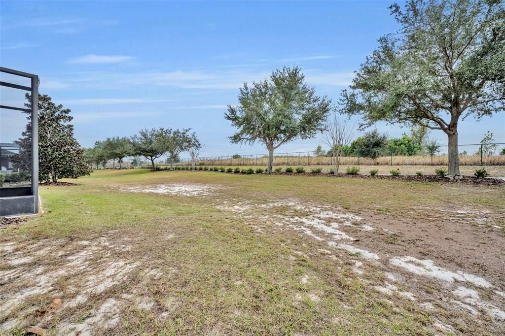 待售: $335,000 (2 贝兹, 2 浴室, 1503 平方英尺)