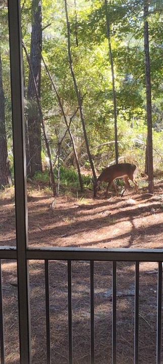 For Rent: $1,500 (1 beds, 1 baths, 1002 Square Feet)