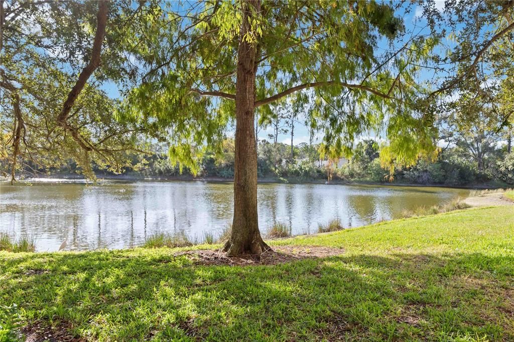 待售: $199,900 (2 贝兹, 2 浴室, 1089 平方英尺)