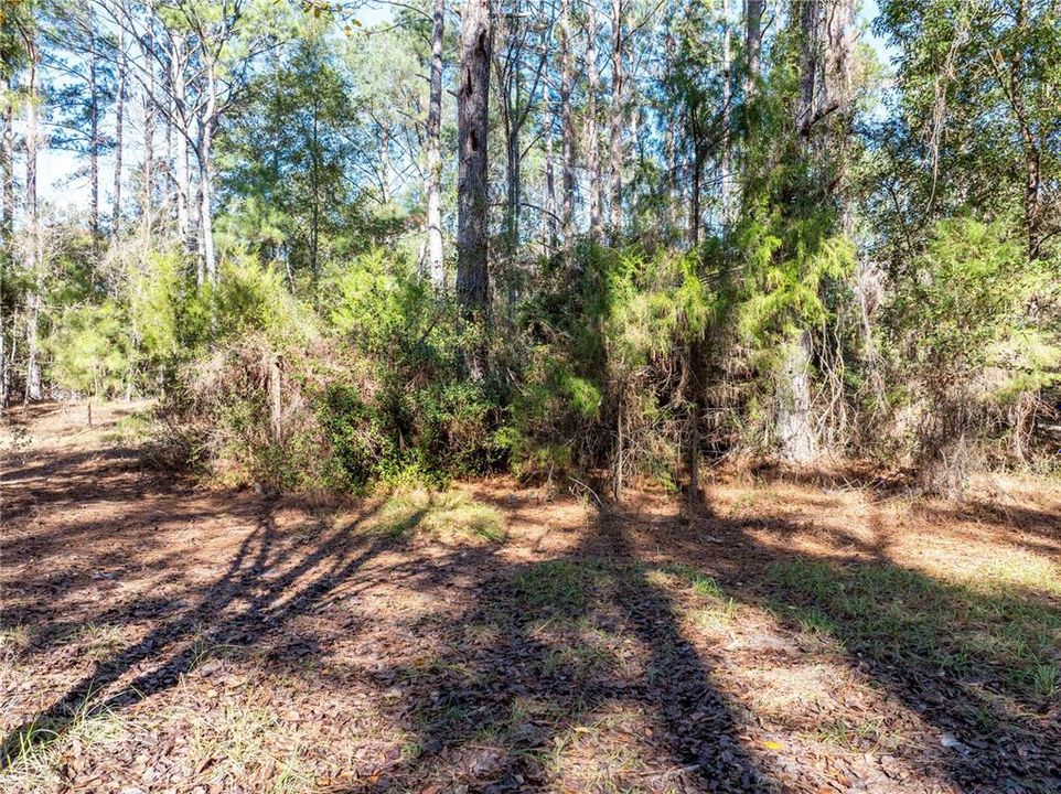 En Venta: $260,000 (2 camas, 2 baños, 1440 Pies cuadrados)