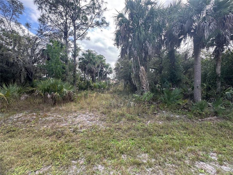 For Sale: $25,000 (0.37 acres)