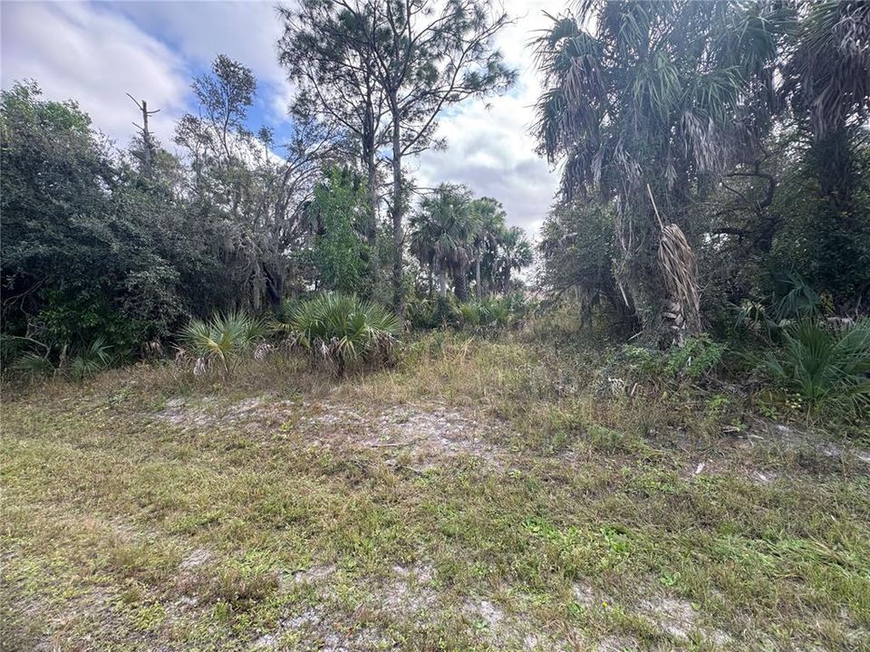 For Sale: $25,000 (0.37 acres)