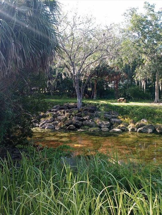 En Venta: $301,917 (6.04 acres)