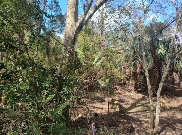 For Sale: $20,000 (0.22 acres)