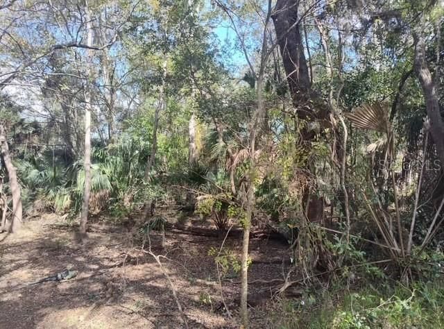 For Sale: $20,000 (0.22 acres)