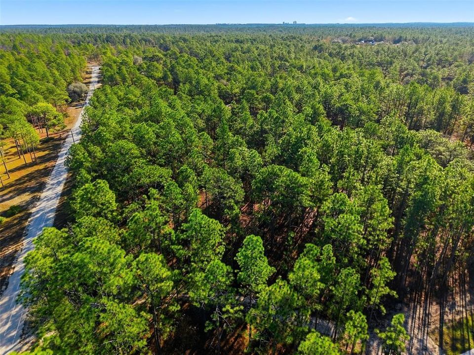 En Venta: $125,000 (2.30 acres)