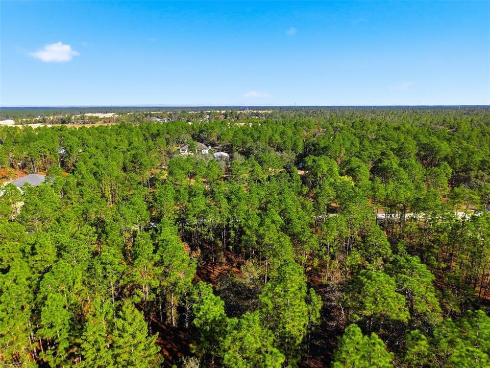 En Venta: $125,000 (2.30 acres)