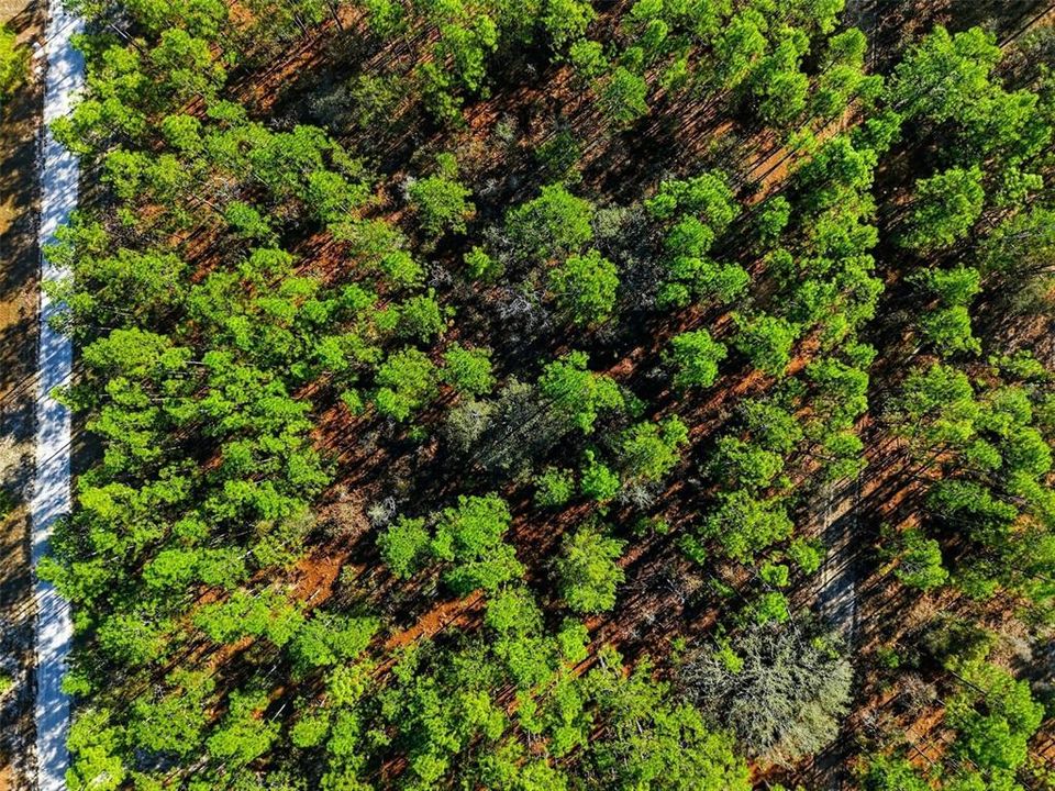 En Venta: $125,000 (2.30 acres)