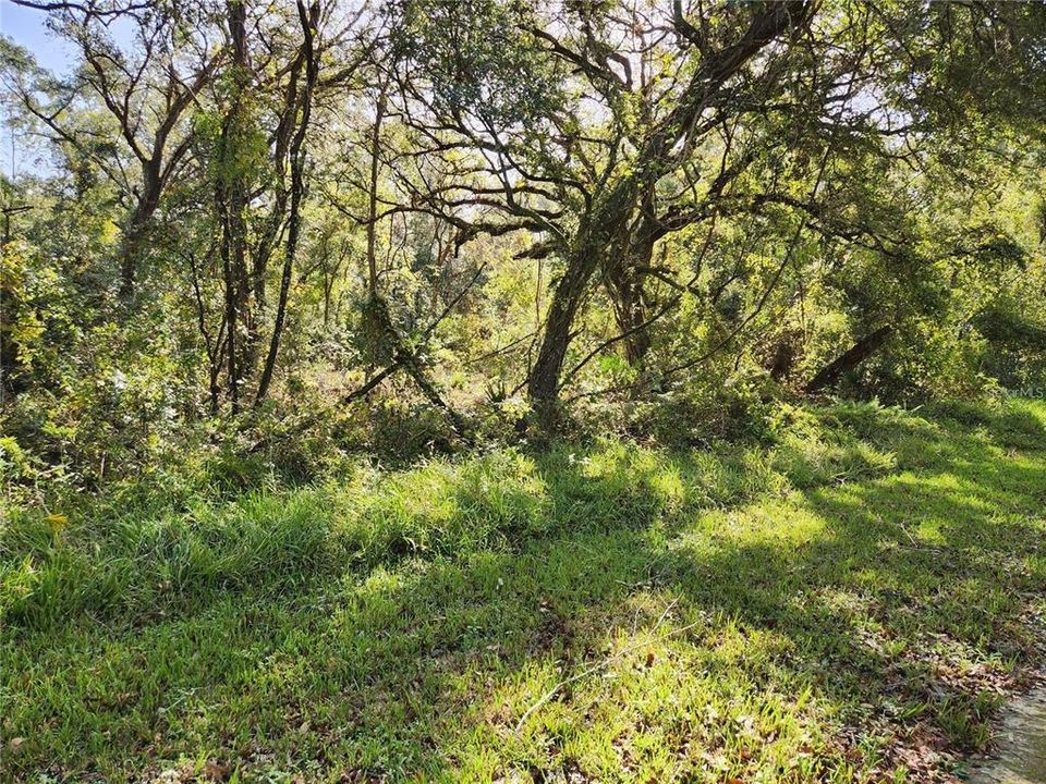 For Sale: $34,900 (1.16 acres)