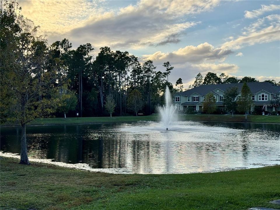 出租: $2,800 (3 贝兹, 2 浴室, 1779 平方英尺)