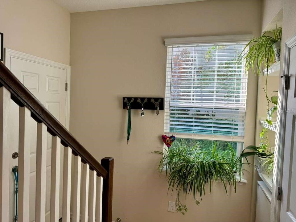 出租: $2,800 (3 贝兹, 2 浴室, 1779 平方英尺)