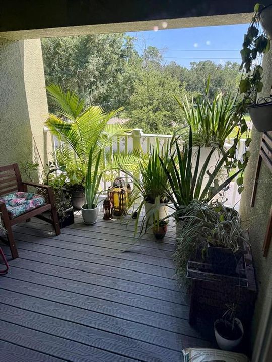 出租: $2,800 (3 贝兹, 2 浴室, 1779 平方英尺)