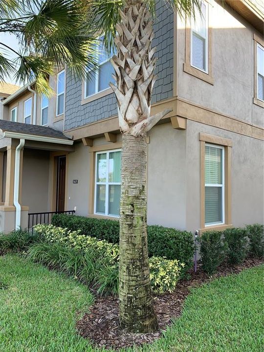 出租: $2,700 (3 贝兹, 2 浴室, 1584 平方英尺)