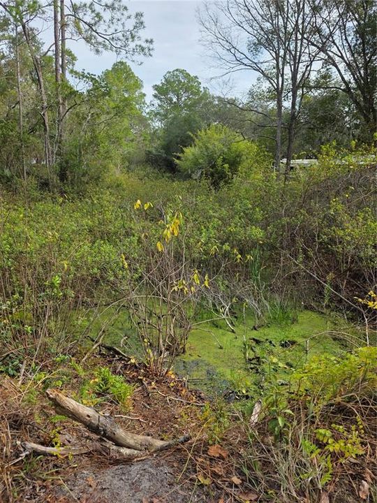 合同活跃: $25,000 (0.17 acres)