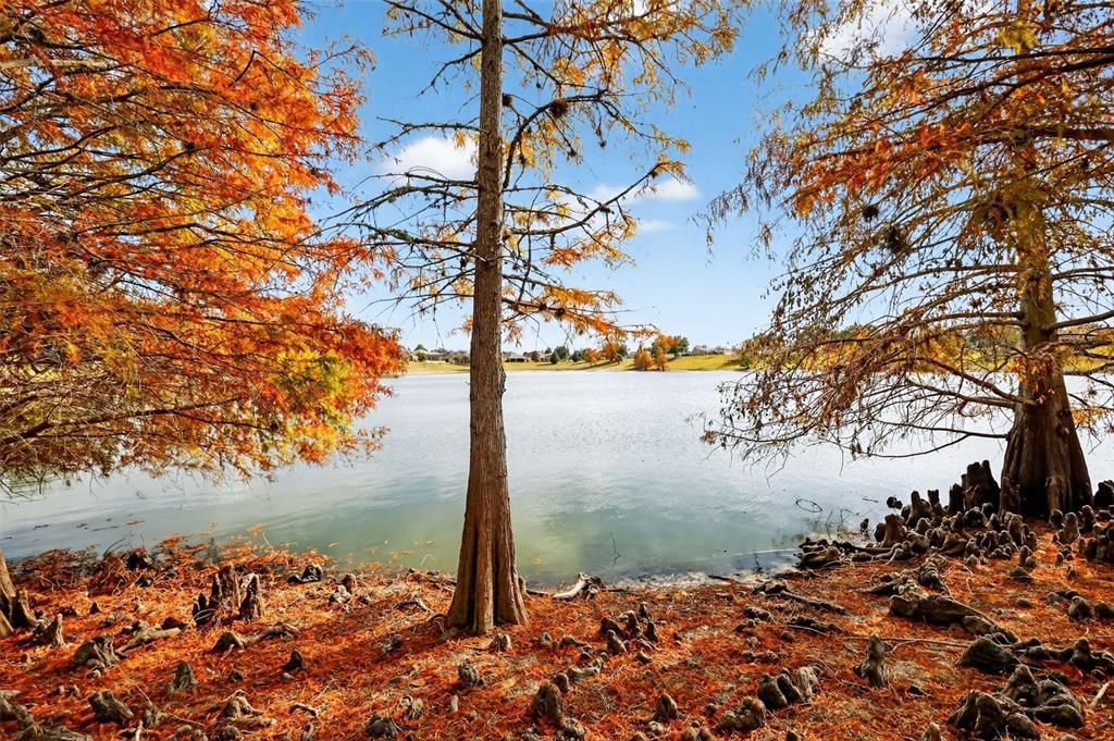 For Sale: $539,000 (3 beds, 2 baths, 1392 Square Feet)