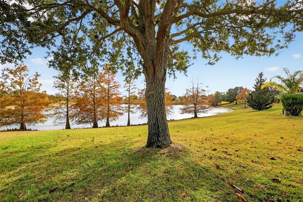 For Sale: $539,000 (3 beds, 2 baths, 1392 Square Feet)