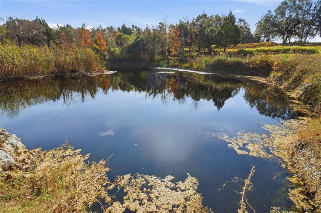 En Venta: $269,583 (5.39 acres)