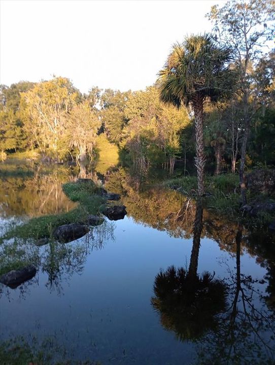 En Venta: $269,583 (5.39 acres)