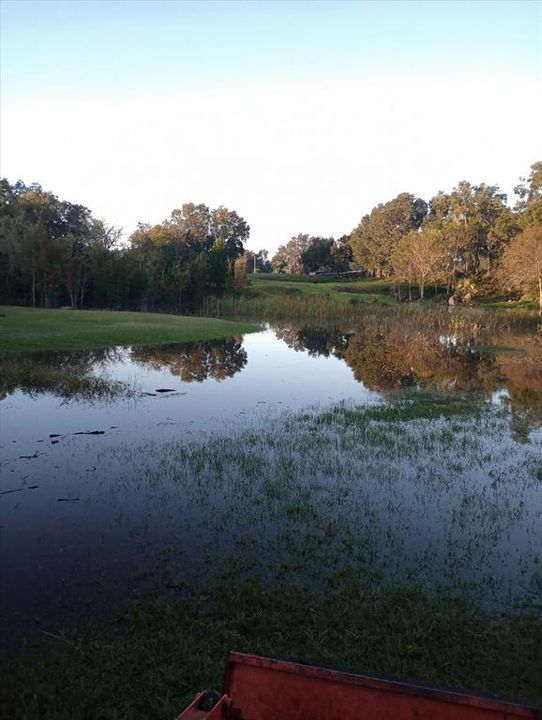 En Venta: $269,583 (5.39 acres)