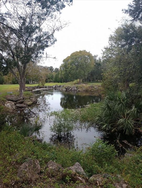 En Venta: $269,583 (5.39 acres)