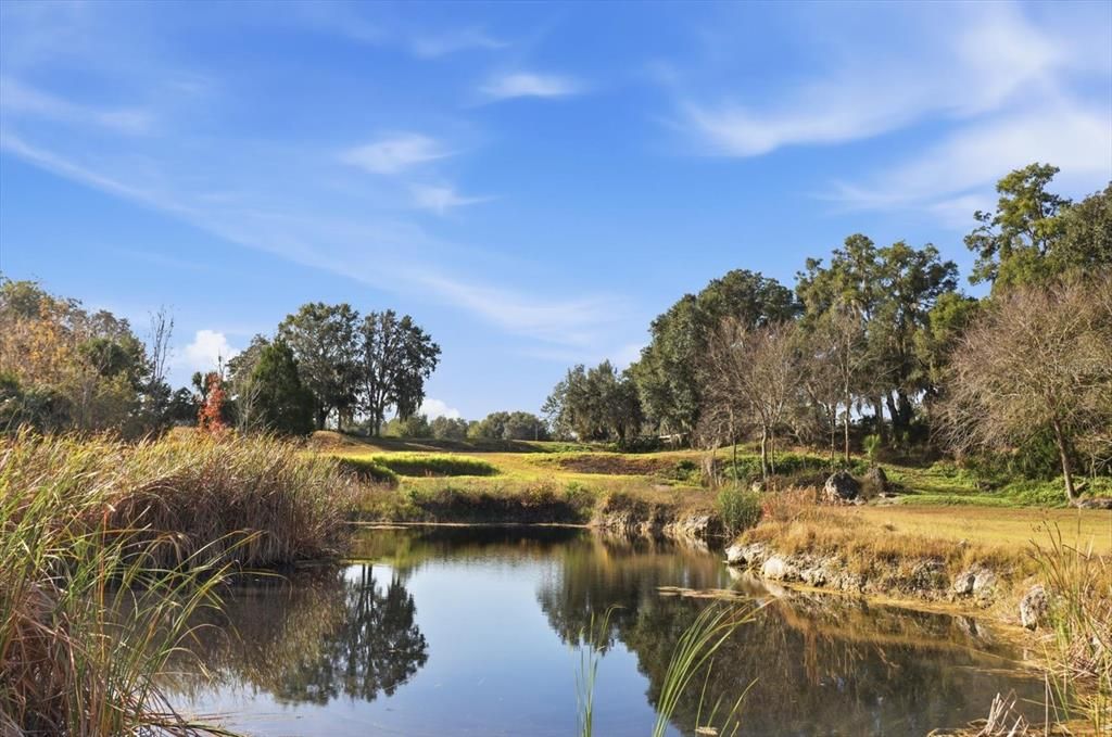 En Venta: $269,583 (5.39 acres)