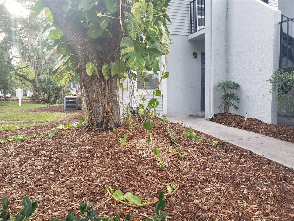 В аренду: $1,250 (1 спален, 1 ванн, 504 Квадратных фут)